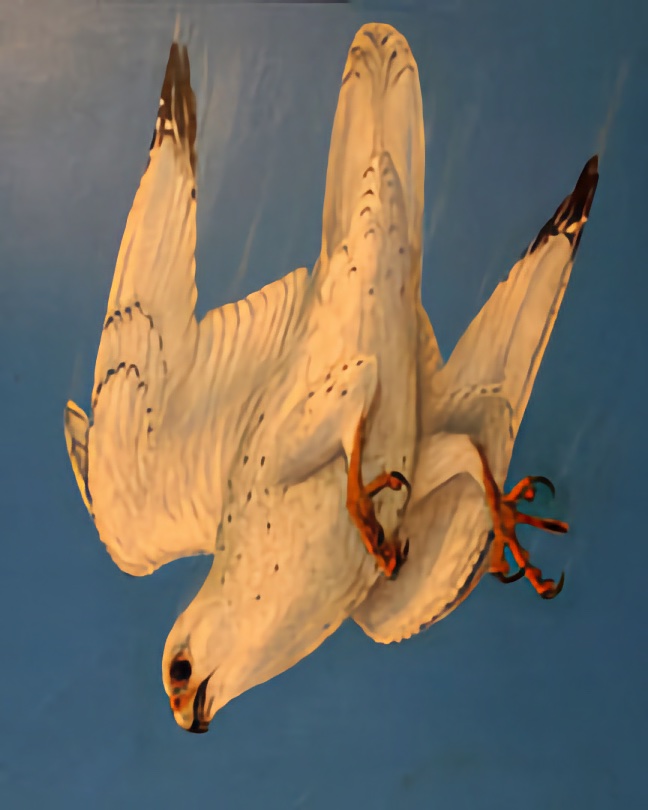 White Gyrfalcon Stooping White Ptarmigan by artist / falconer Vern Siefert - Original Art